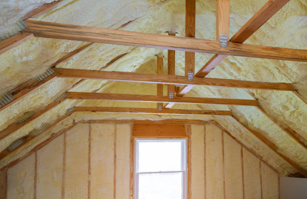 Best Specialized Insulation Services in Murphys Estates, SC