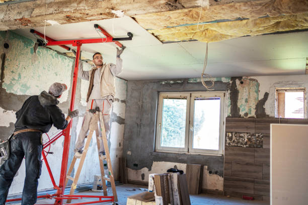 Best Geographic-Specific Insulation Services in Murphys Estates, SC